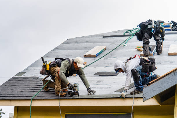 Professional Roofing technician working in Newtonville, NY